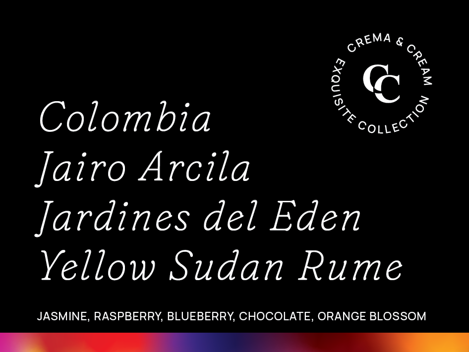 Colombia Jairo Arcila Jardines del Eden Yellow Sudan Rume