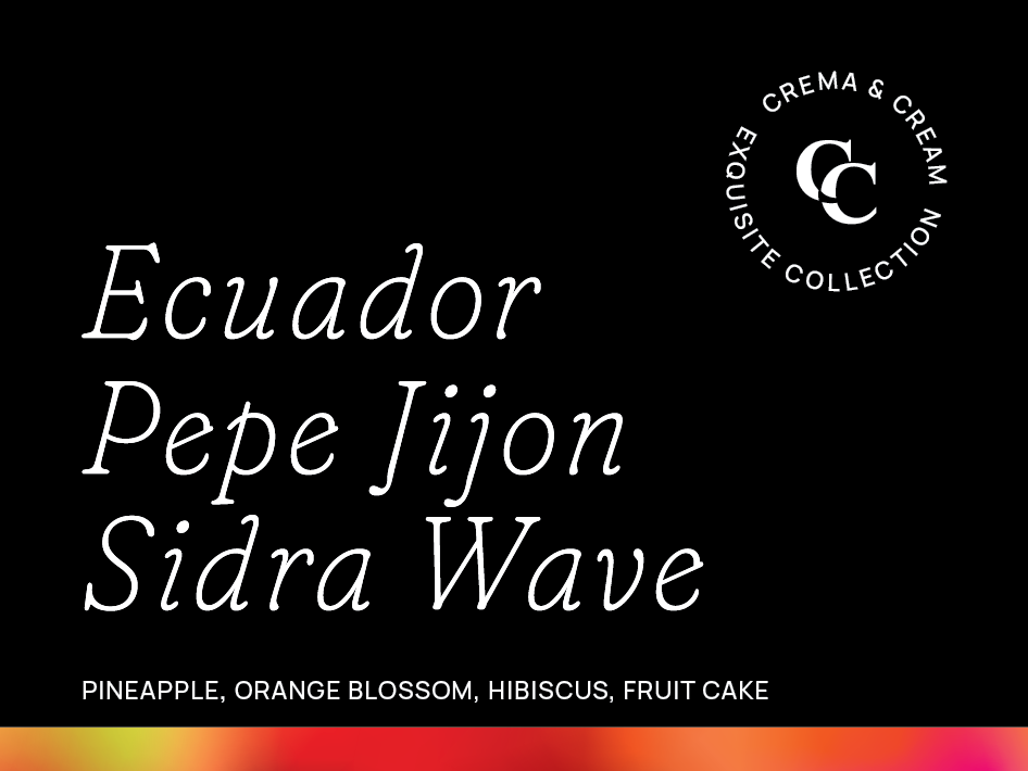 Ecuador Pepe Jijon Sidra Wave