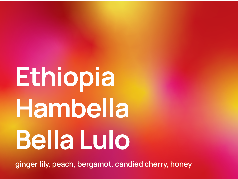 Ethiopia Hambella Bella Lulo