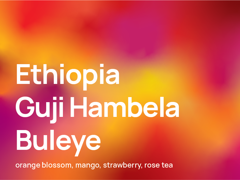 Ethiopia Guji Hambela Buleye