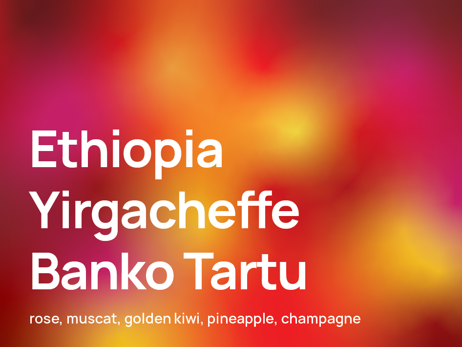 Ethiopia Yirgacheffe Banko Tartu