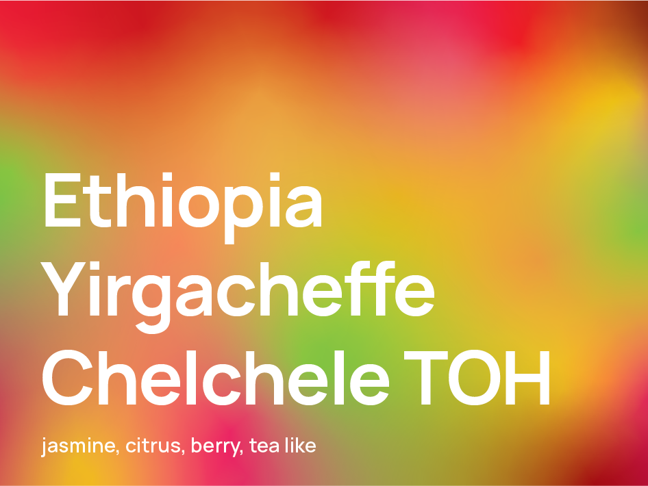 Ethiopia Yirgacheffe Chelchele TOH
