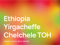 Ethiopia Yirgacheffe Chelchele TOH