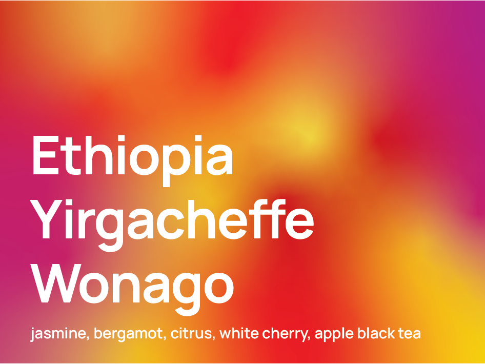 Ethiopia Yirgacheffe Wonago