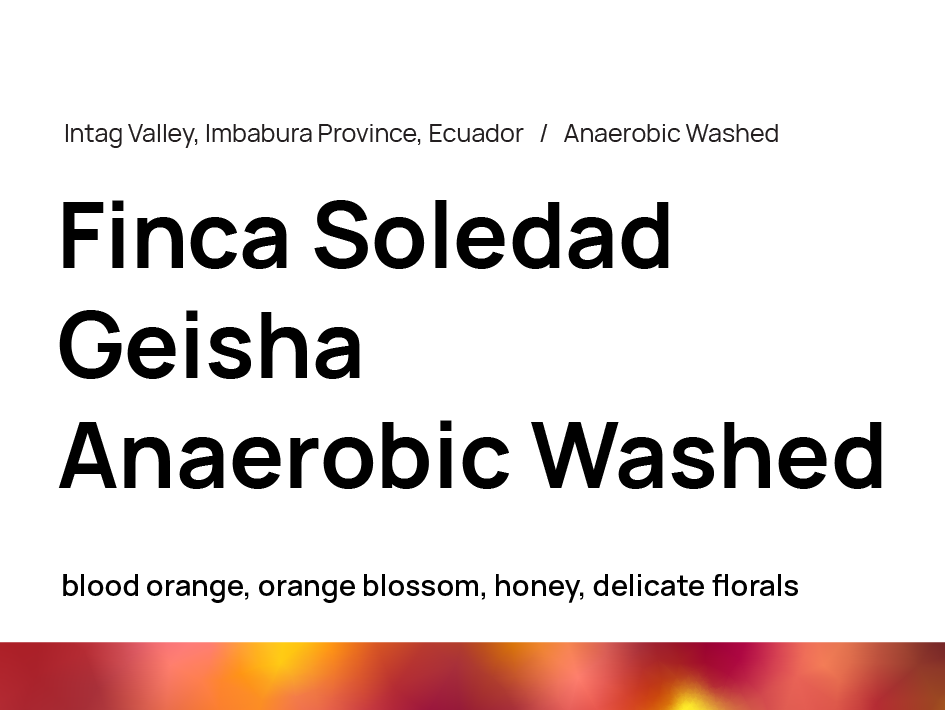 Finca Soledad Geisha Anaerobic Washed