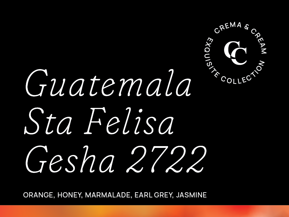 Guatemala Sta Felisa Gesha 2722