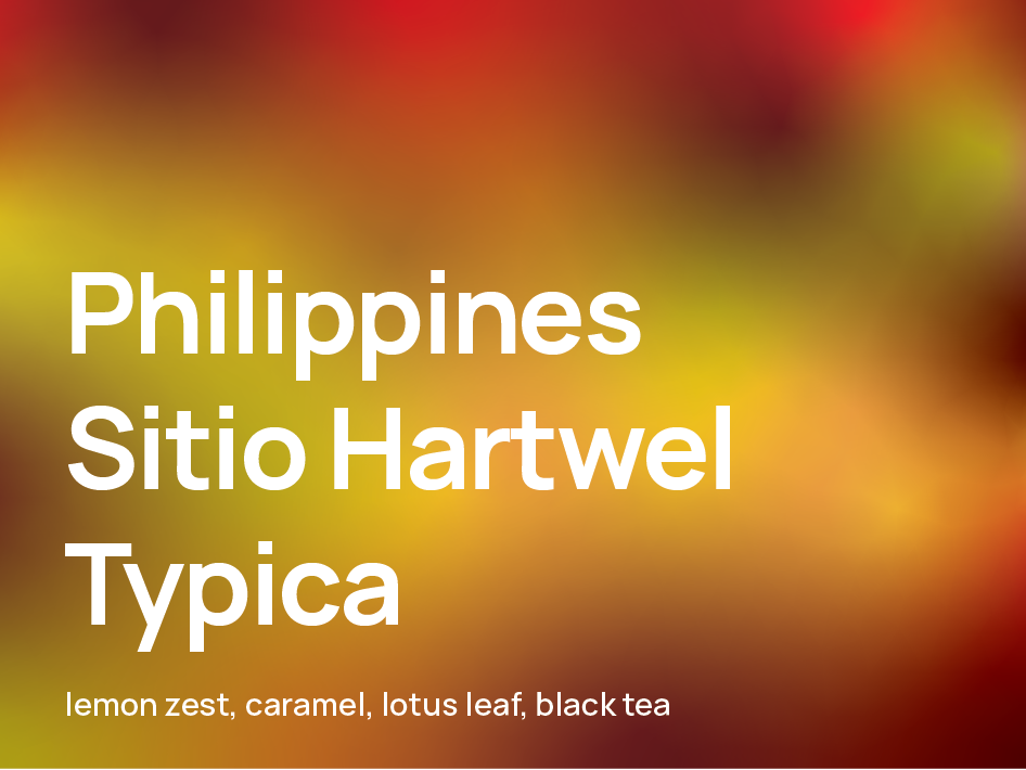 Philippines Sitio Hartwel Typica